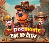 The Dog House Dog or Alive